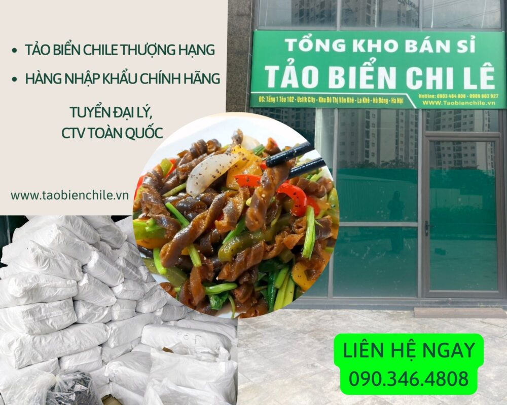 Tổng kho tảo biển Chile chính hãng