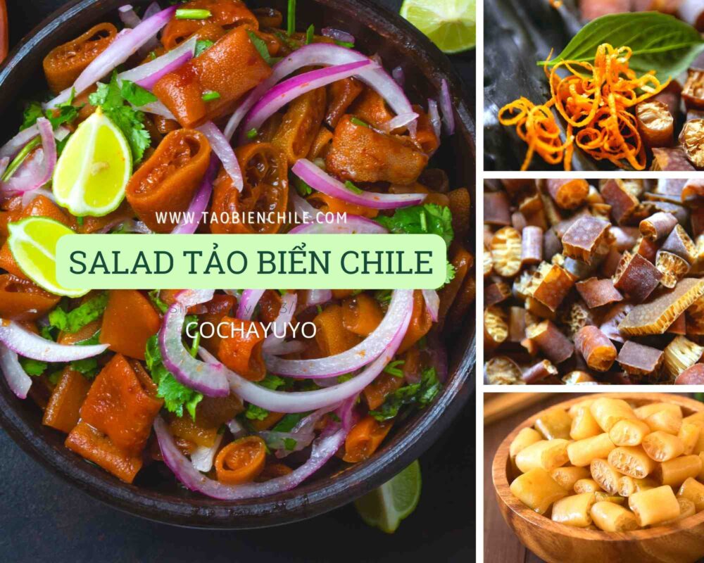Salad tảo biển Chile