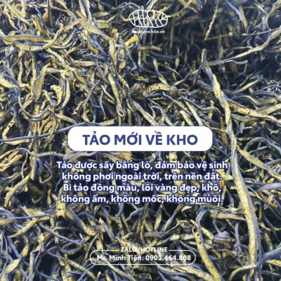 Tảo xoắn khô Chile