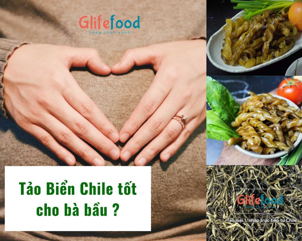 Tảo Chile tốt cho bà bầu