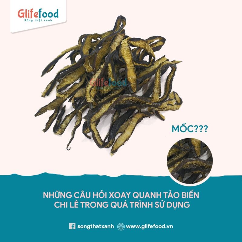 Thắc mắc khi sử dụng tảo biển Chile