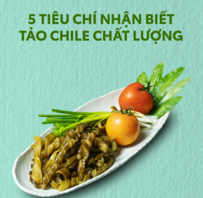 tảo Chile ngon