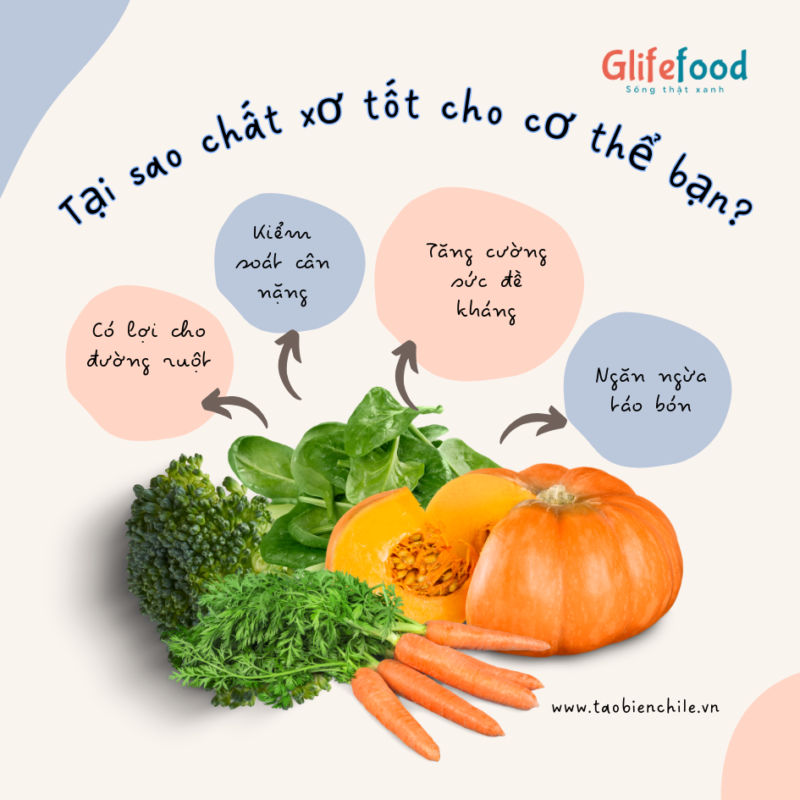 Tại sao chất xơ tốt cho cơ thể bạn