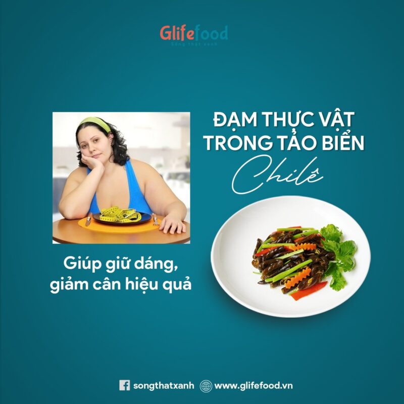 ăn tảo Chile có béo không